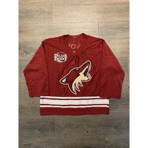 Phoenix Coyotes Ed Jovanovski #55 NHL Decade Desert Mesh Jersey Size M Adult SGA